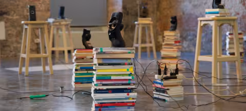 el_projecte_participants