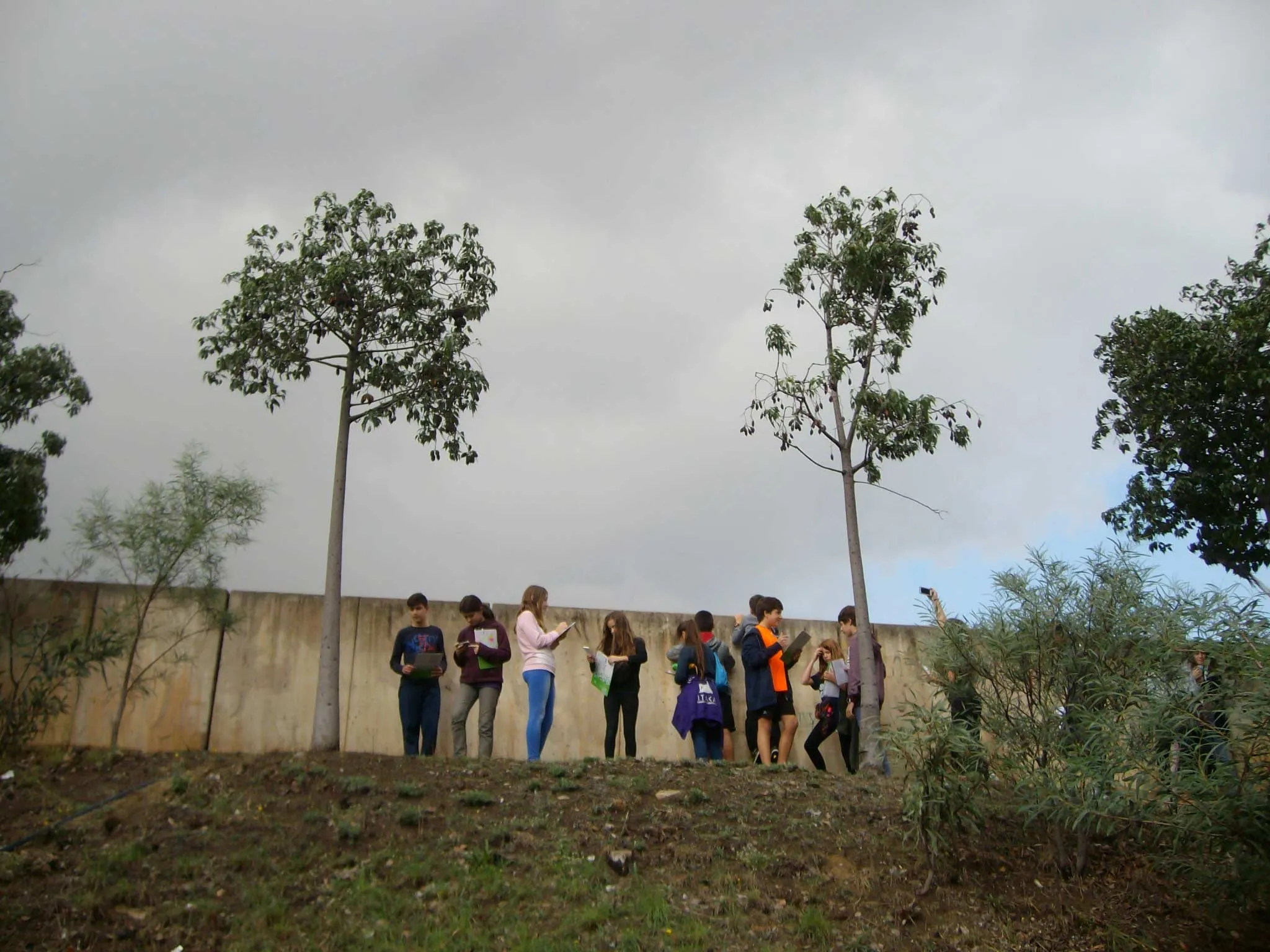 02 processos luzbroto 02