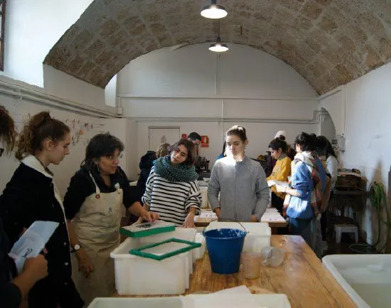 m soler p creacio 18 exploracio