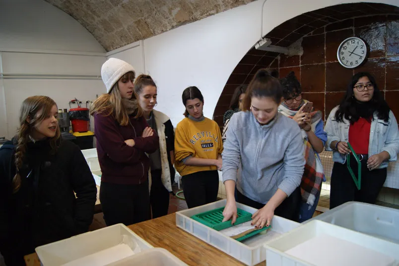 m soler p creacio 19b exploracio