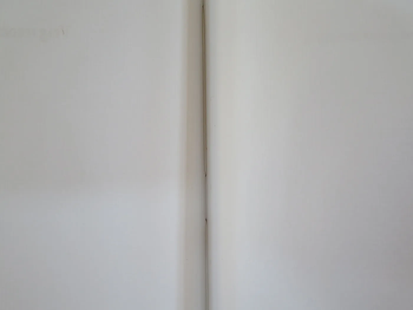 18 19 merce soler obra 33