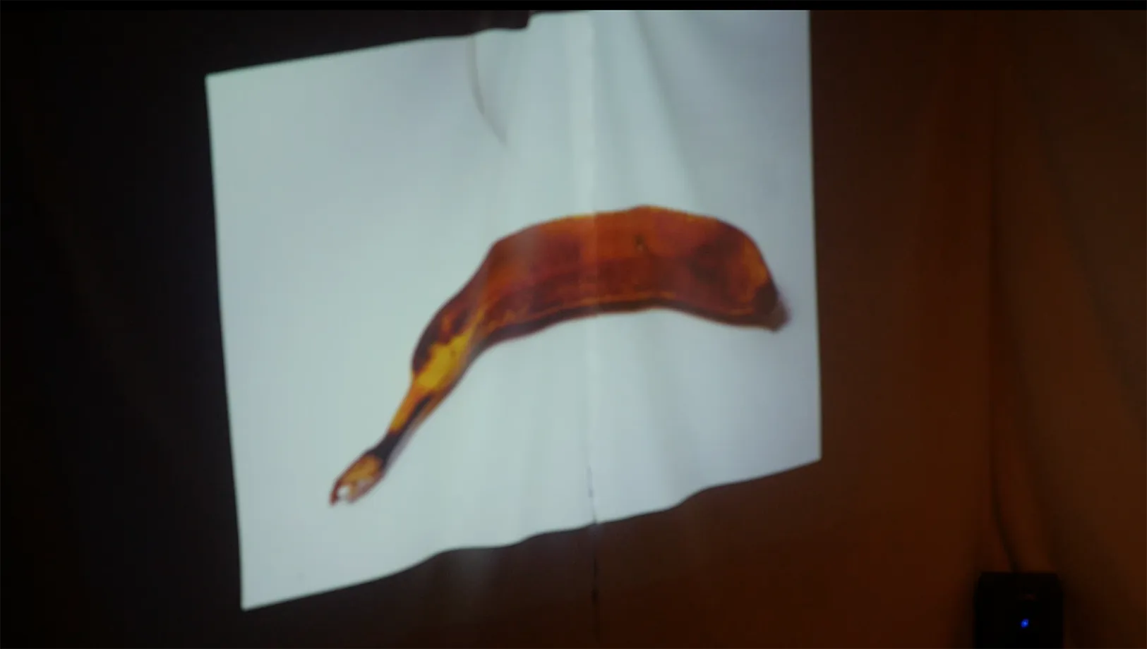 arnau obra 06