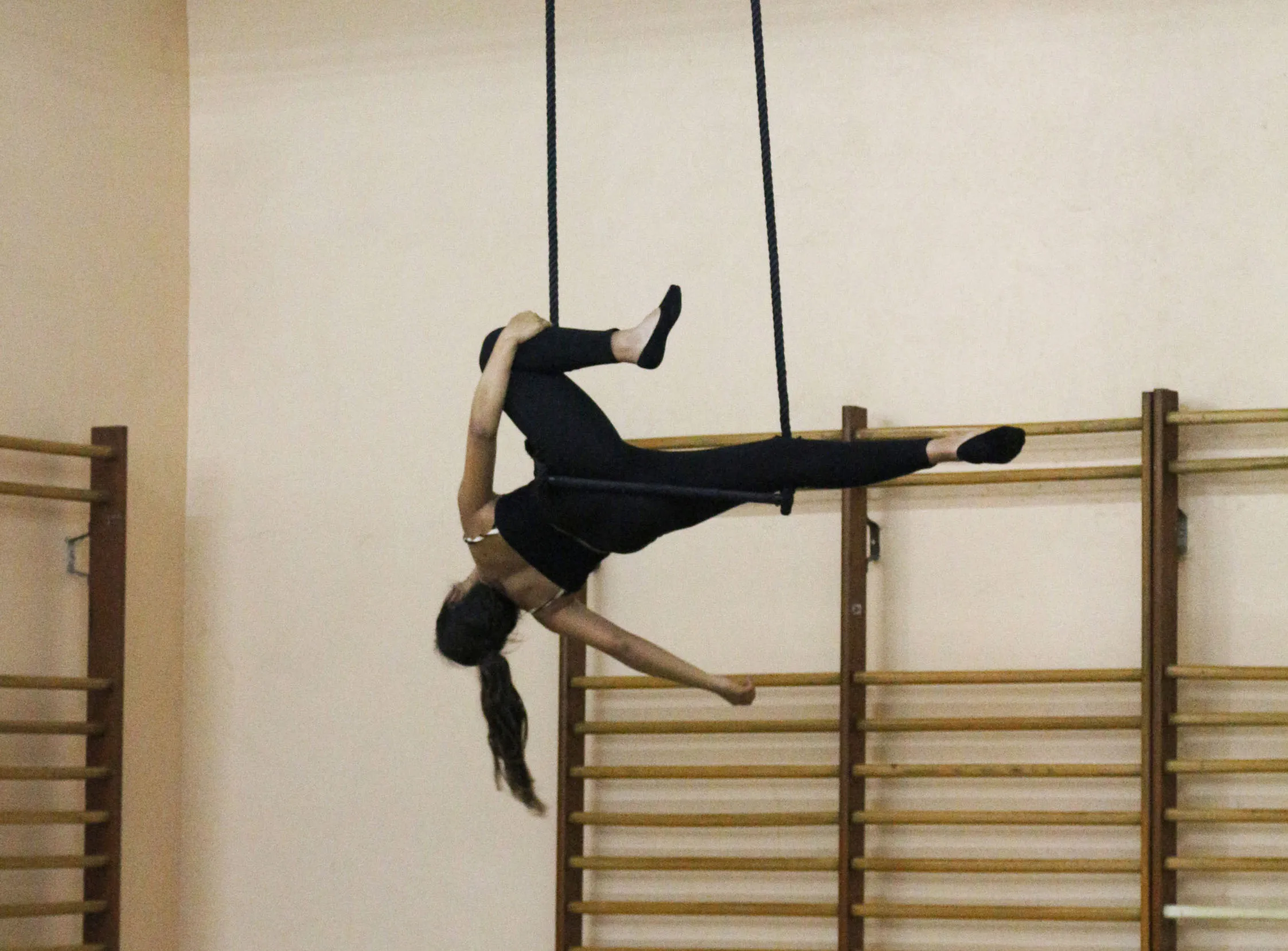 escarlata circus obra 04