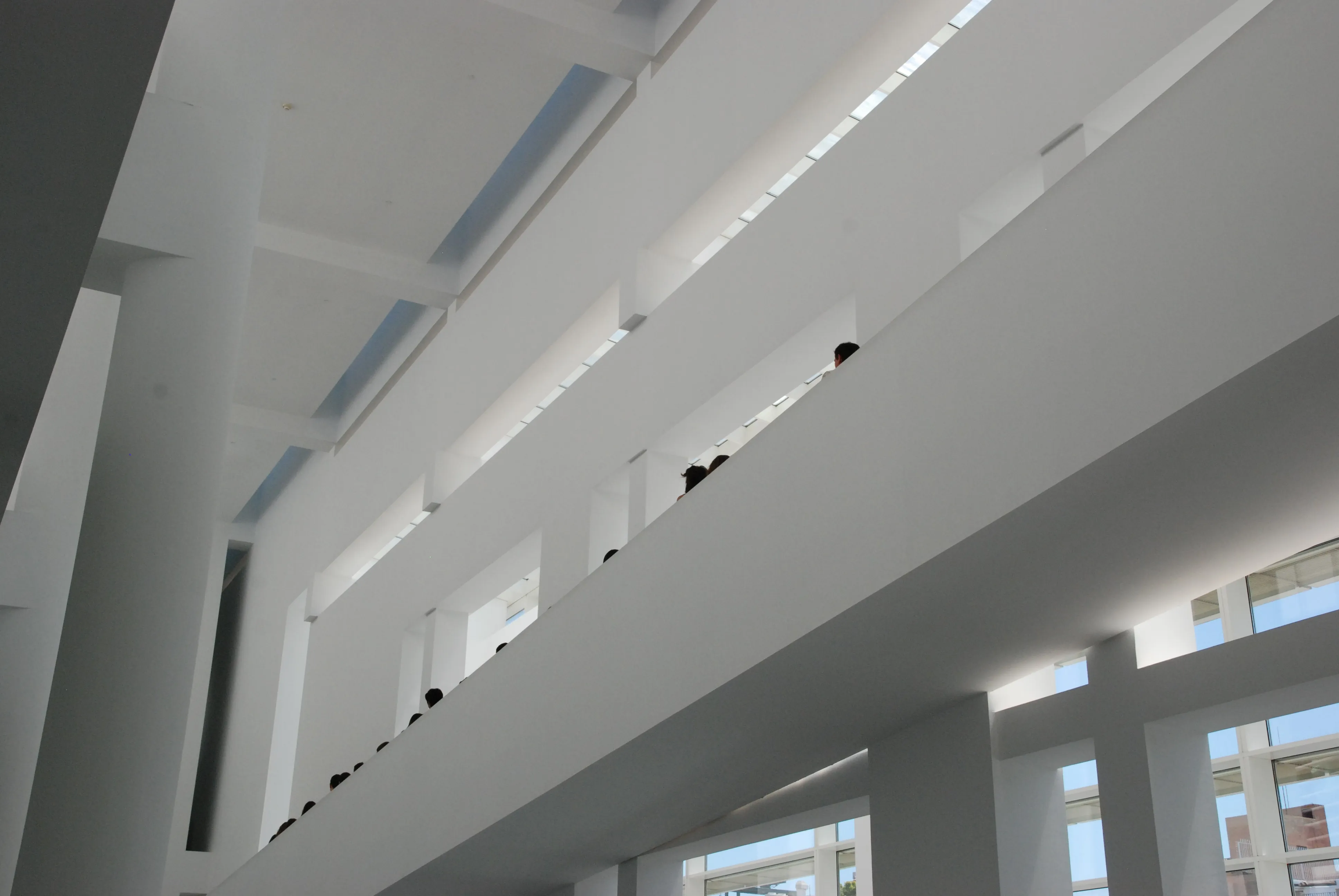 mireia saladrigues obra 06