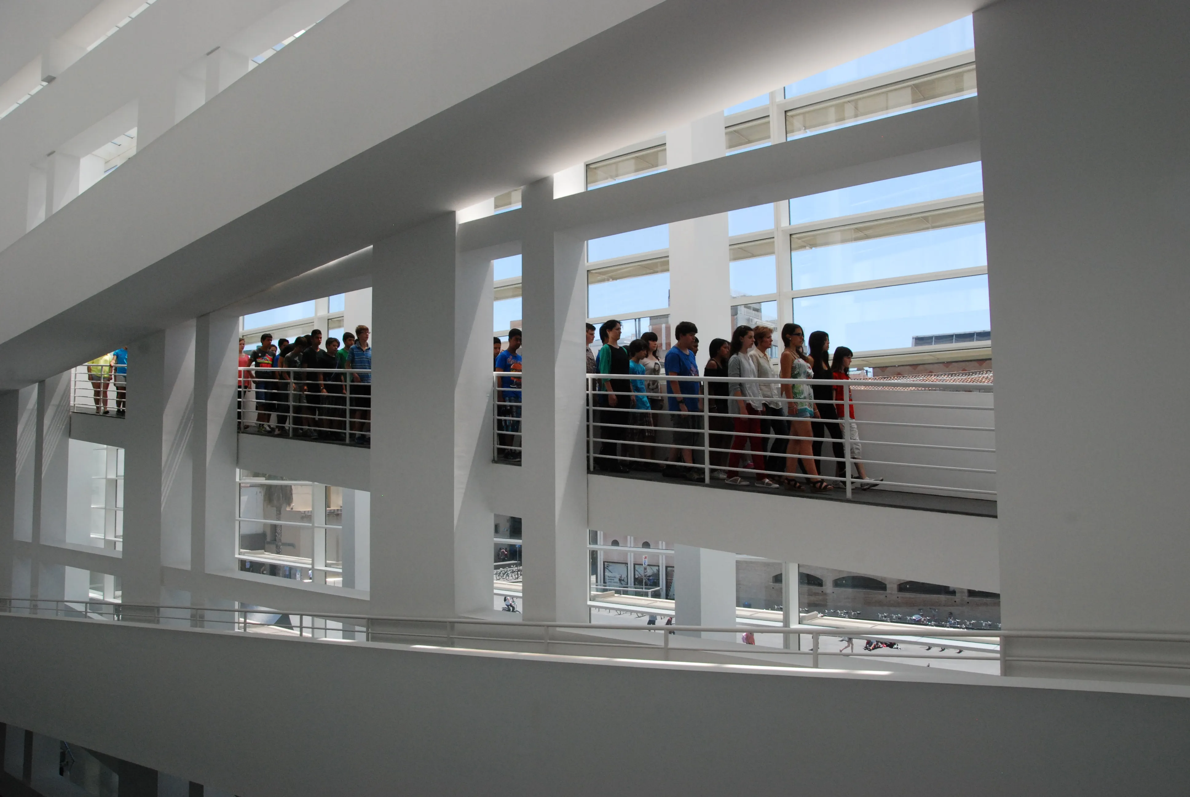 mireia saladrigues obra 11