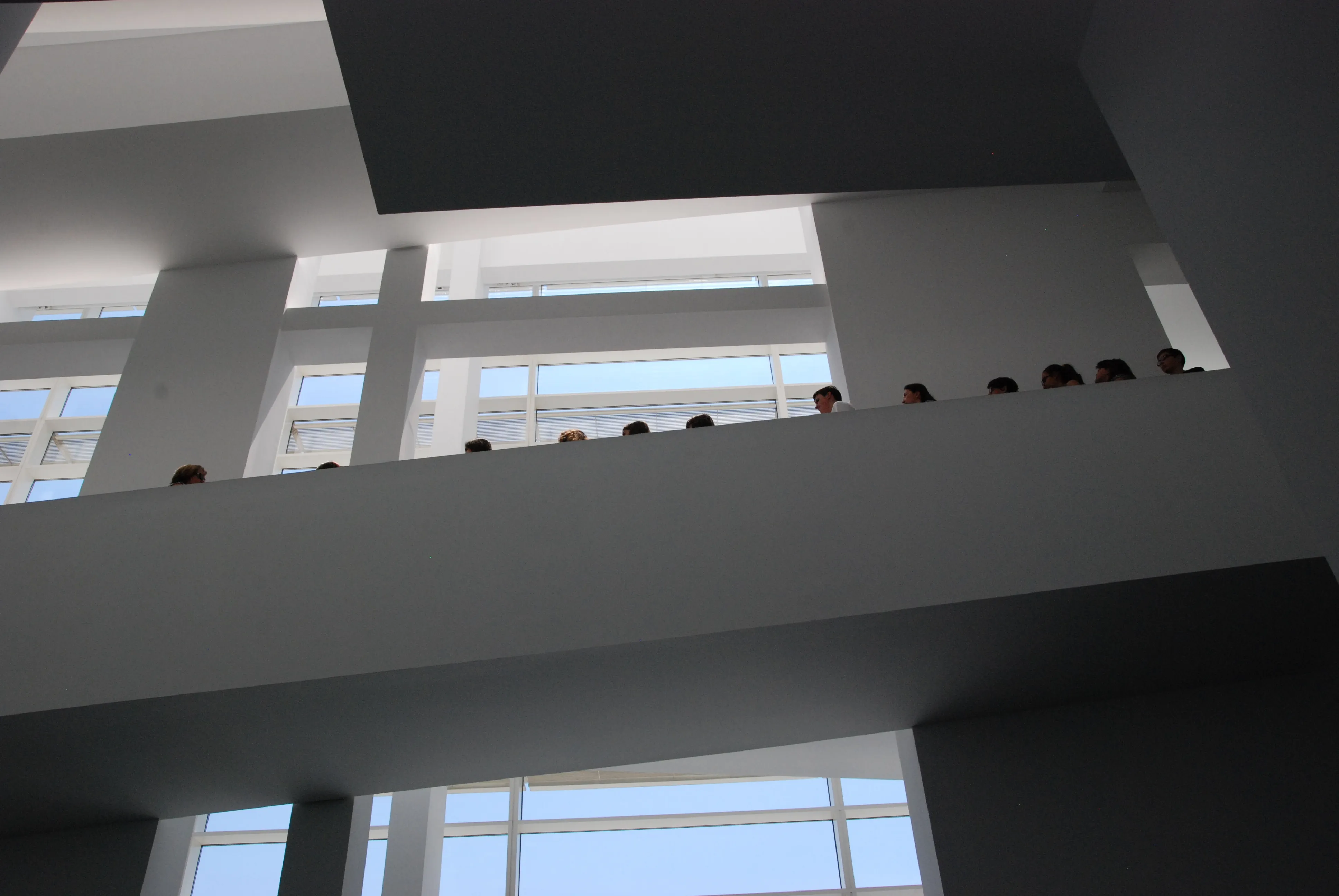 mireia saladrigues obra 17